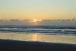 Paparoa NP - Gletscher-007